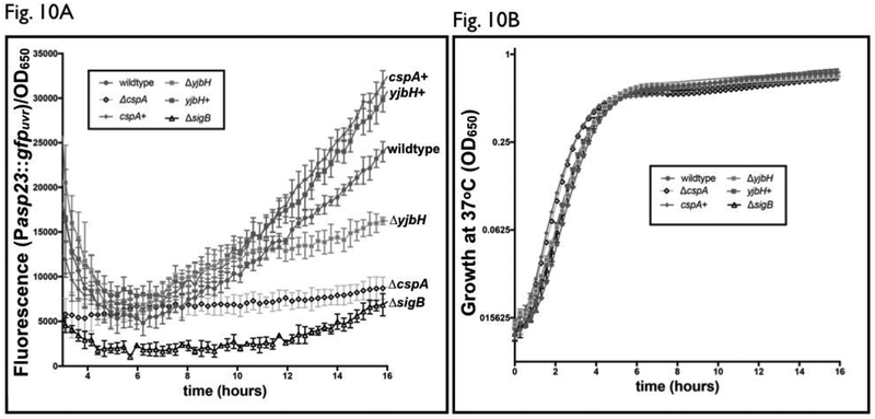 Figure 10: