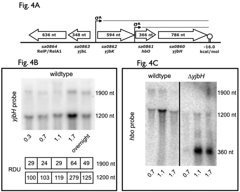 Figure 4: