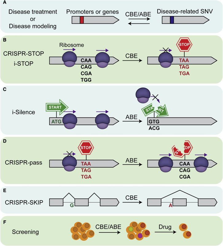 Figure 3