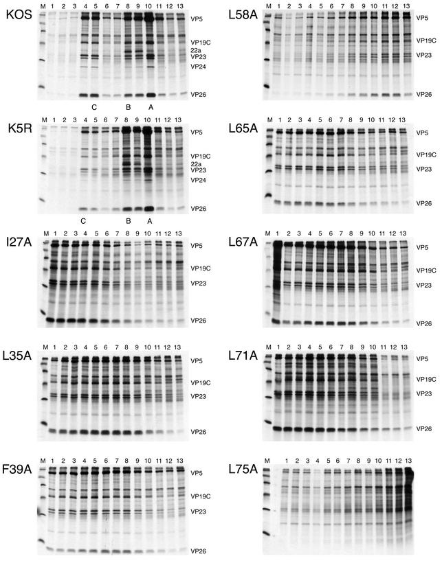 FIG. 7.