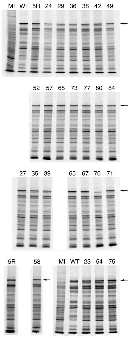 FIG. 4.