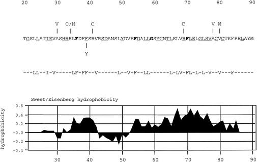 FIG. 1.