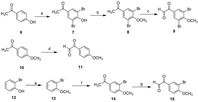 Scheme 2