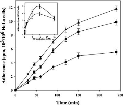 FIG. 1.