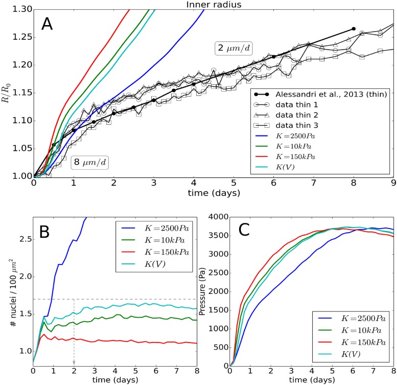 Fig 10