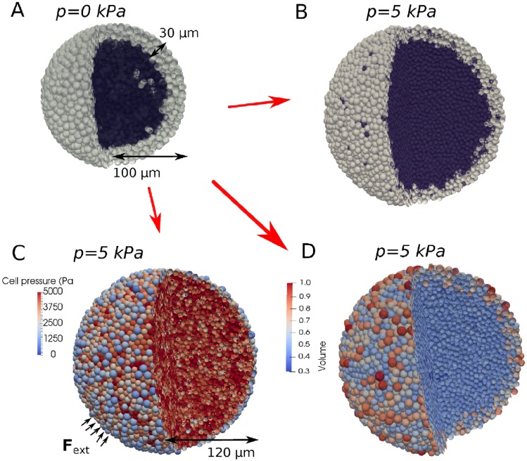 Fig 6