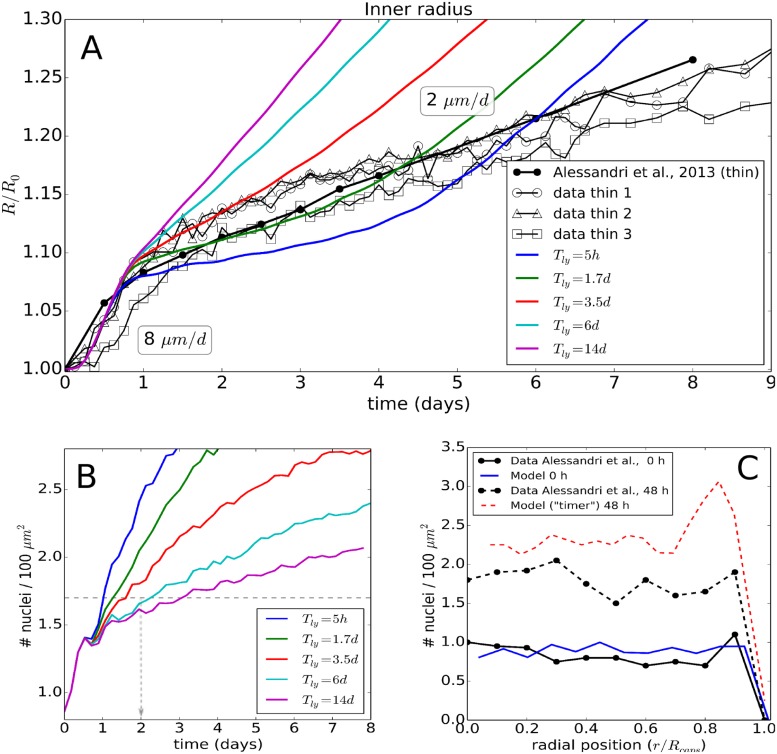 Fig 11