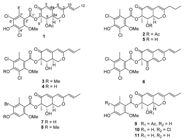 Figure 1