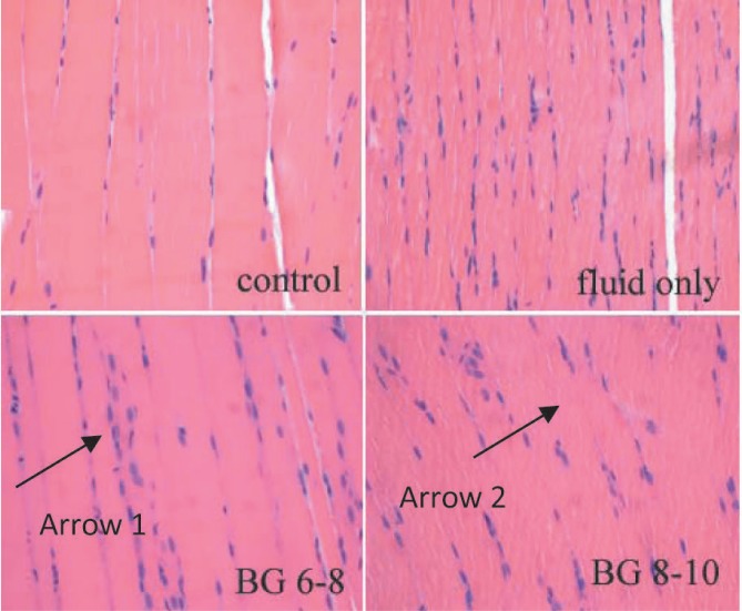 Fig. 5