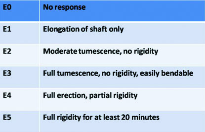 [Table/Fig-4]: