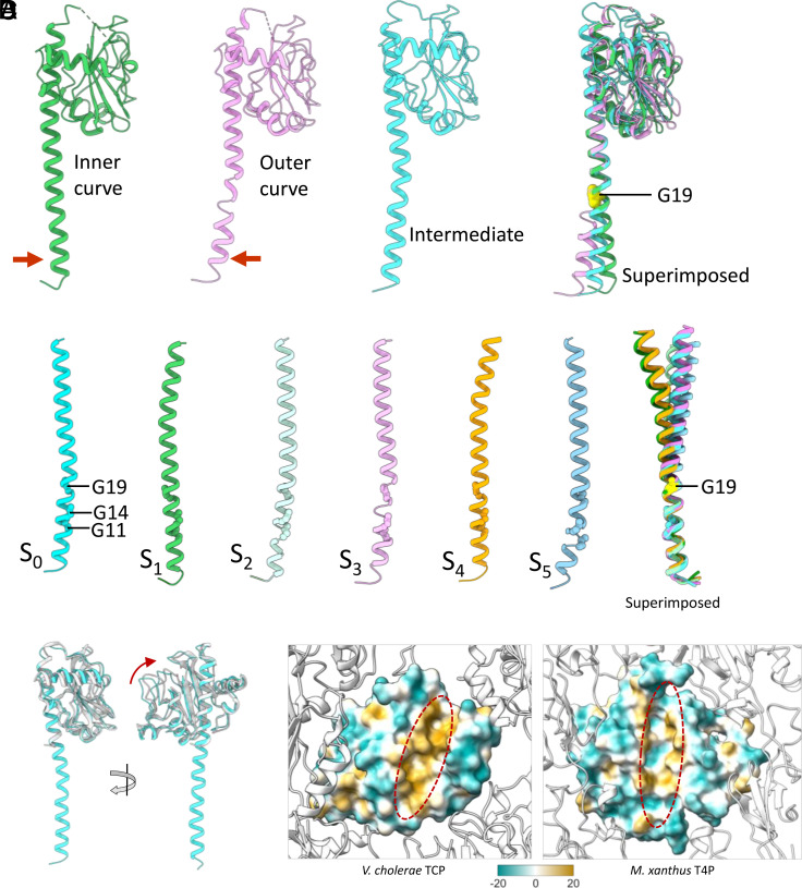 Fig. 4.