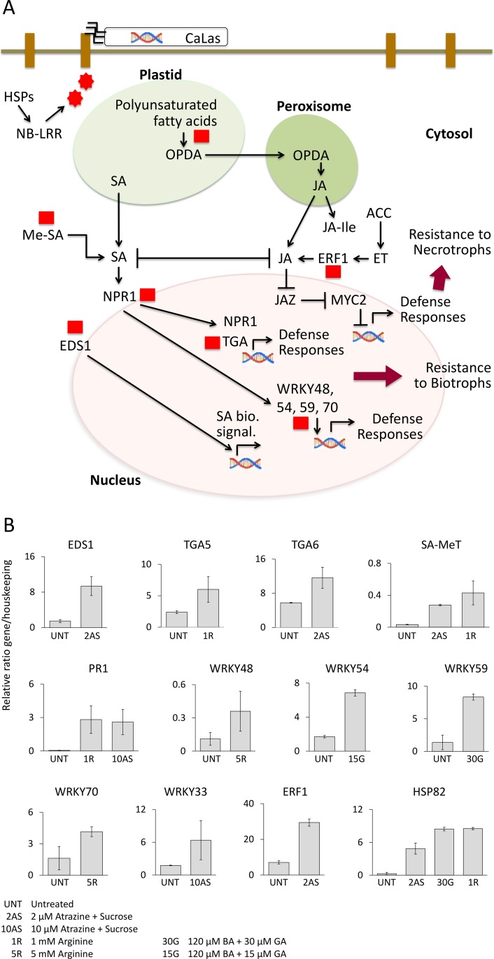 Fig 4