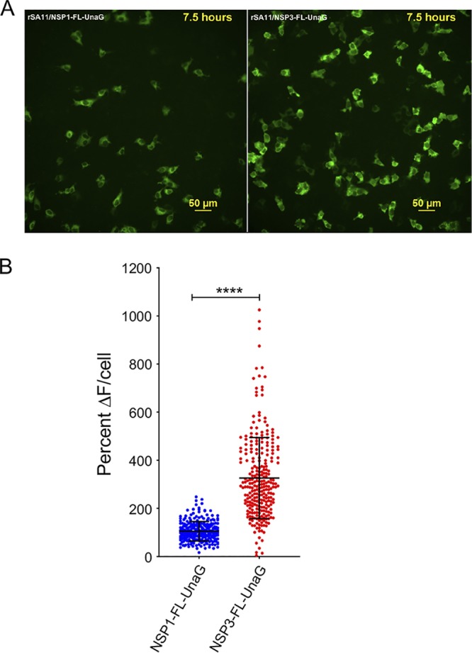 FIG 6