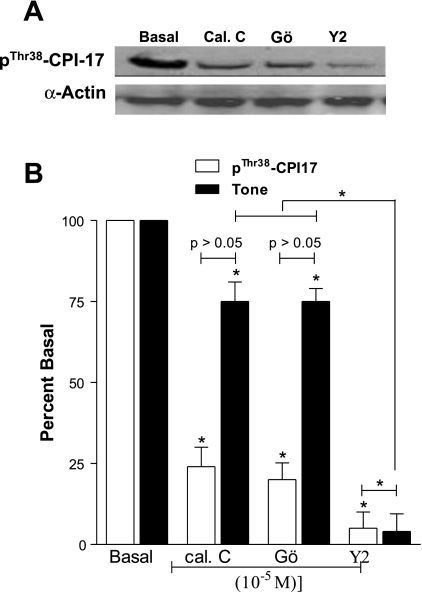 Fig. 10.