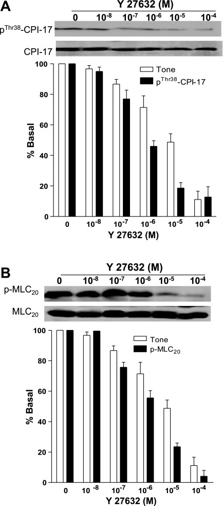 Fig. 9.