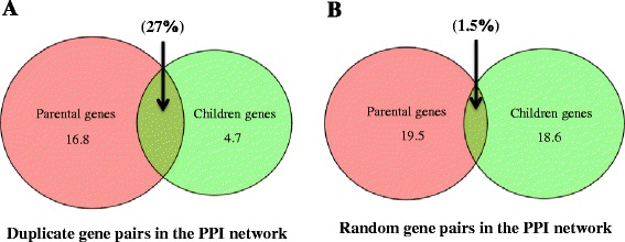 Fig. 9