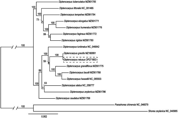 Figure 3.