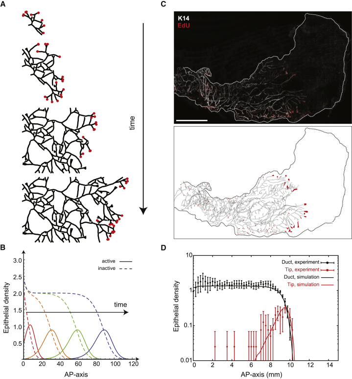 Figure 3