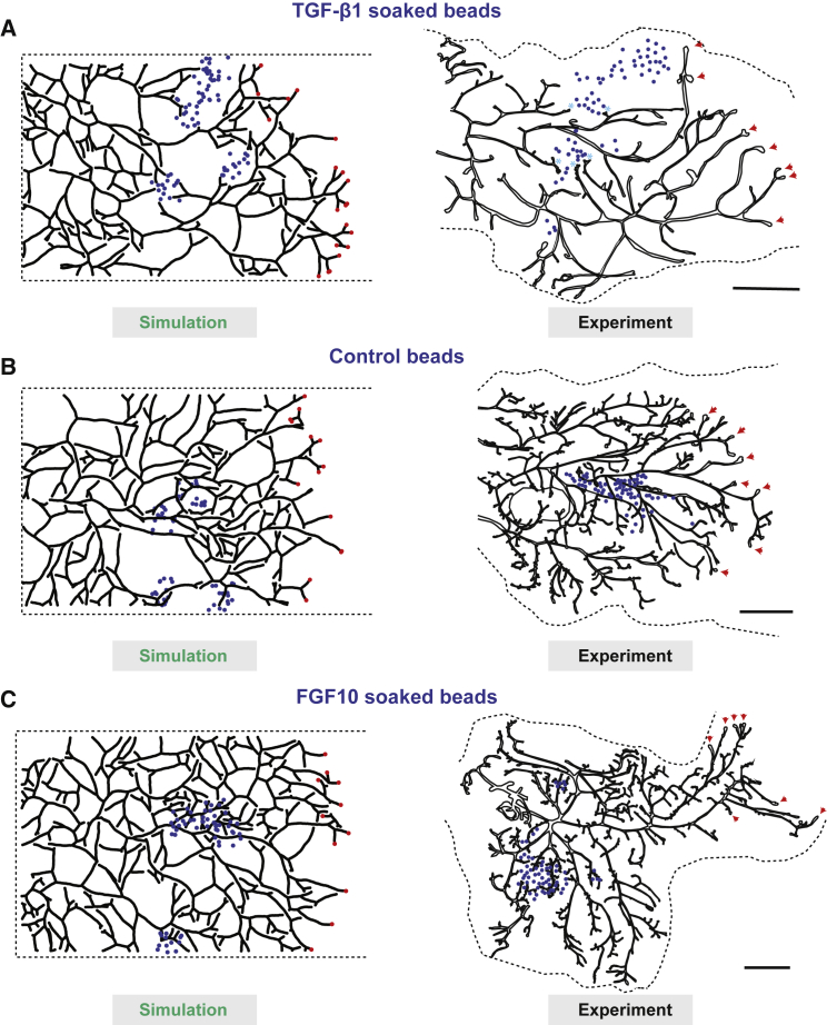 Figure 5