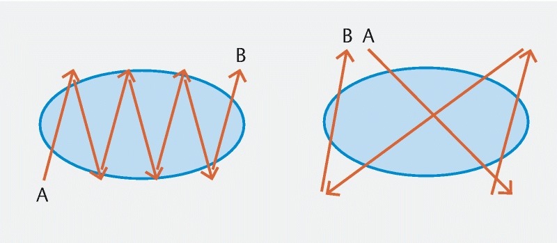 Fig. 1 