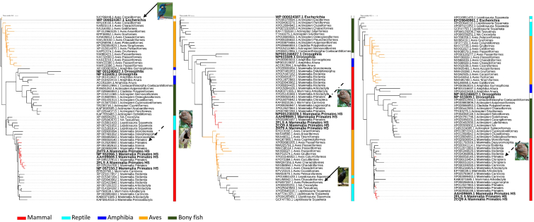 Fig. 2