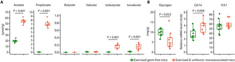 Fig. 6.