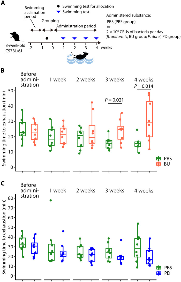 Fig. 4.