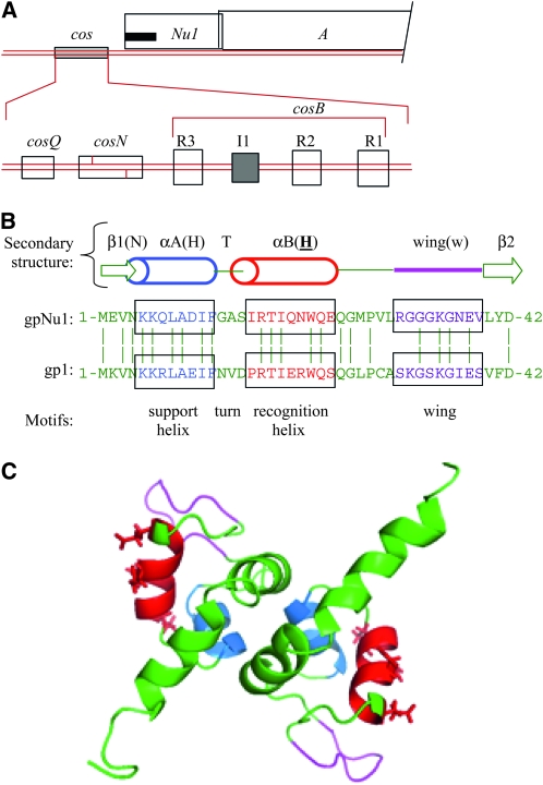 Figure 1.—