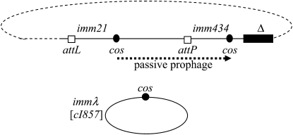 Figure 2.—