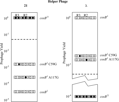 Figure 3.—