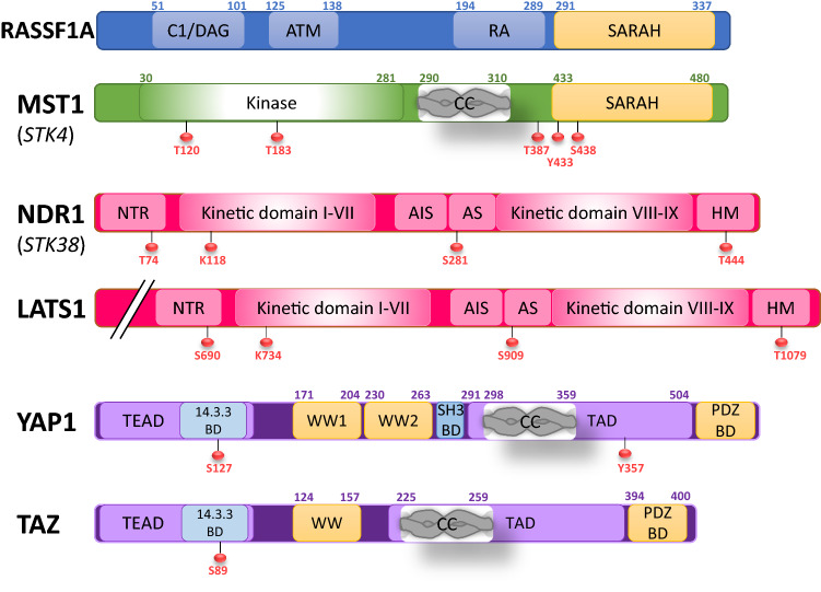 Fig. 3