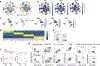 Extended Data Fig. 7.