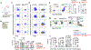 Extended Data Fig. 6.