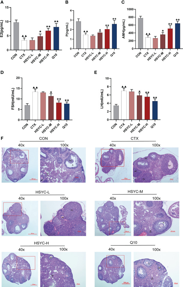 Figure 2