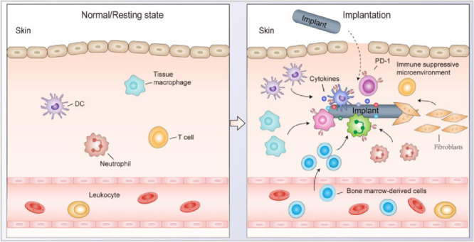 Image, graphical abstract