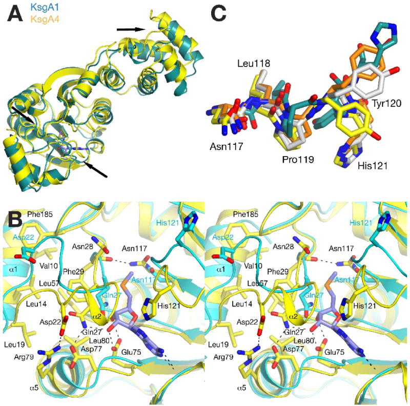 Figure 4