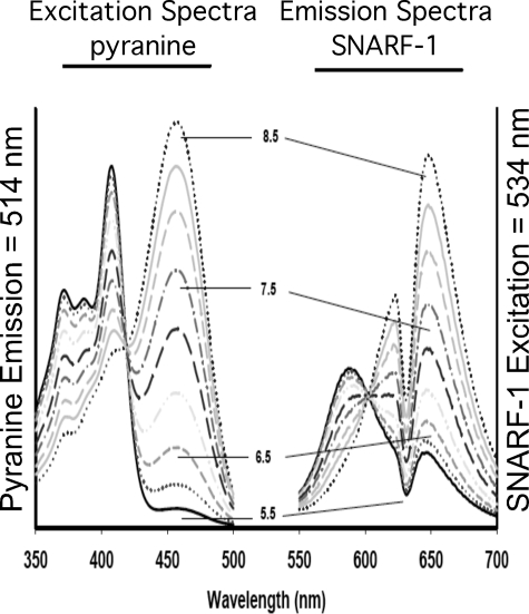 FIGURE 4.