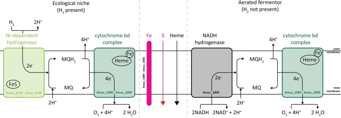 FIG 6