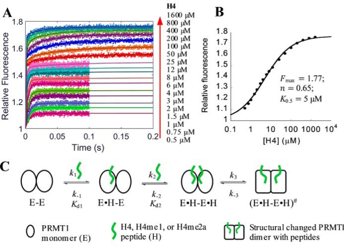 FIGURE 4.