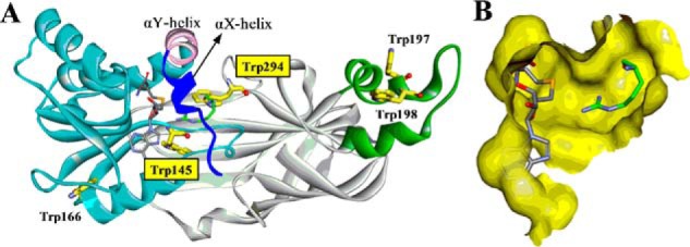 FIGURE 2.