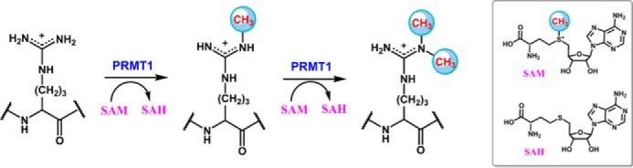 FIGURE 1.