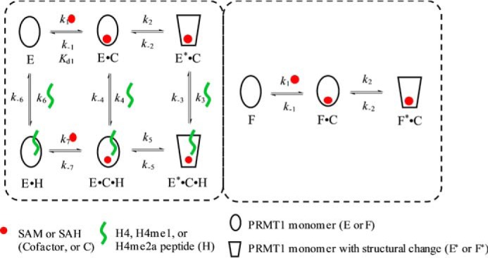 FIGURE 10.