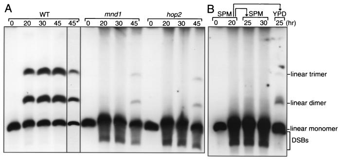 FIG. 5.