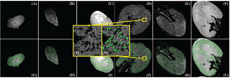 Fig. 4.