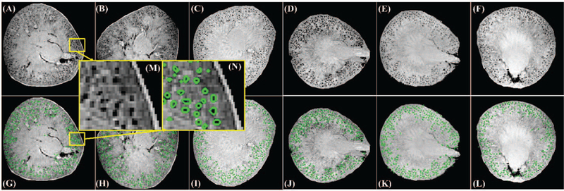 Fig. 3.