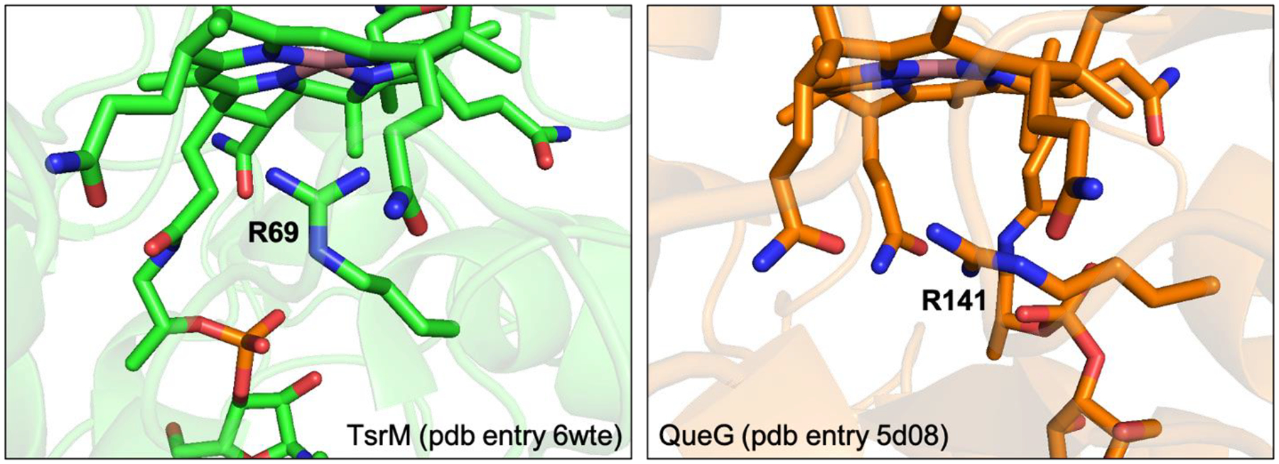 Figure 7.