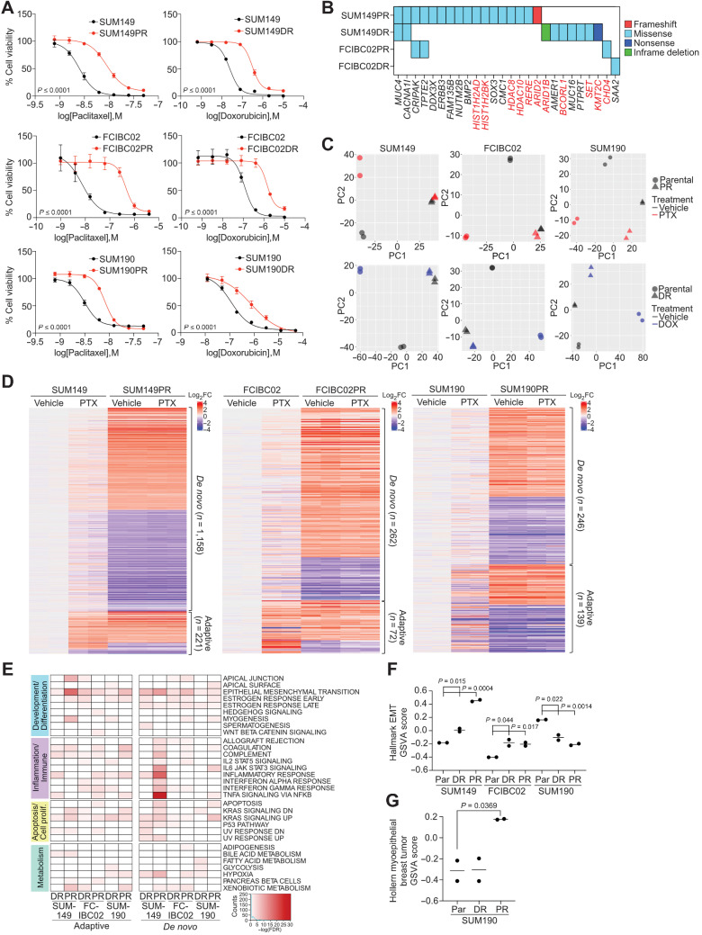 Figure 2. Characterization of chemotherapy-resistant IBC cell lines. A, Cellular viability after paclitaxel or doxorubicin treatment of parental and resistant cells. Error bars represent SD (n = 3). P values determined by comparison of curves using F test. B, Selected genes from Supplementary Fig. S2A, which were mutated in resistant derivatives and either overlap with the COSMIC cancer database, were differentially expressed in pathway analysis, or were mutated in both paclitaxel-resistant cell lines. Highlighted genes in red correspond to chromatin modifiers. C, Principal component analysis of gene expression of parental and resistant cell lines treated with vehicle, paclitaxel (PTX), or doxorubicin (DOX). D, Heat map of significant differentially expressed genes between parental and resistant derivatives clustered by either their presence (adaptive) or absence (de novo) in parental paclitaxel treated cells compared with vehicle. E, Gene set enrichment analysis for Hallmark gene sets in the indicated resistant versus parental differential gene lists that were significantly enriched (FDR < 0.05). Color scale corresponds to −log(FDR q-value). F, Gene set variation analysis (GSVA) score showing relative enrichment of the Hallmark epithelial to EMT gene set in the indicated cell lines. G, GSVA analysis as in F for enrichment of the Hollern Myoepithelial Breast Tumor gene signature in SUM190 cell lines. P values for F and G calculated by Student t test.