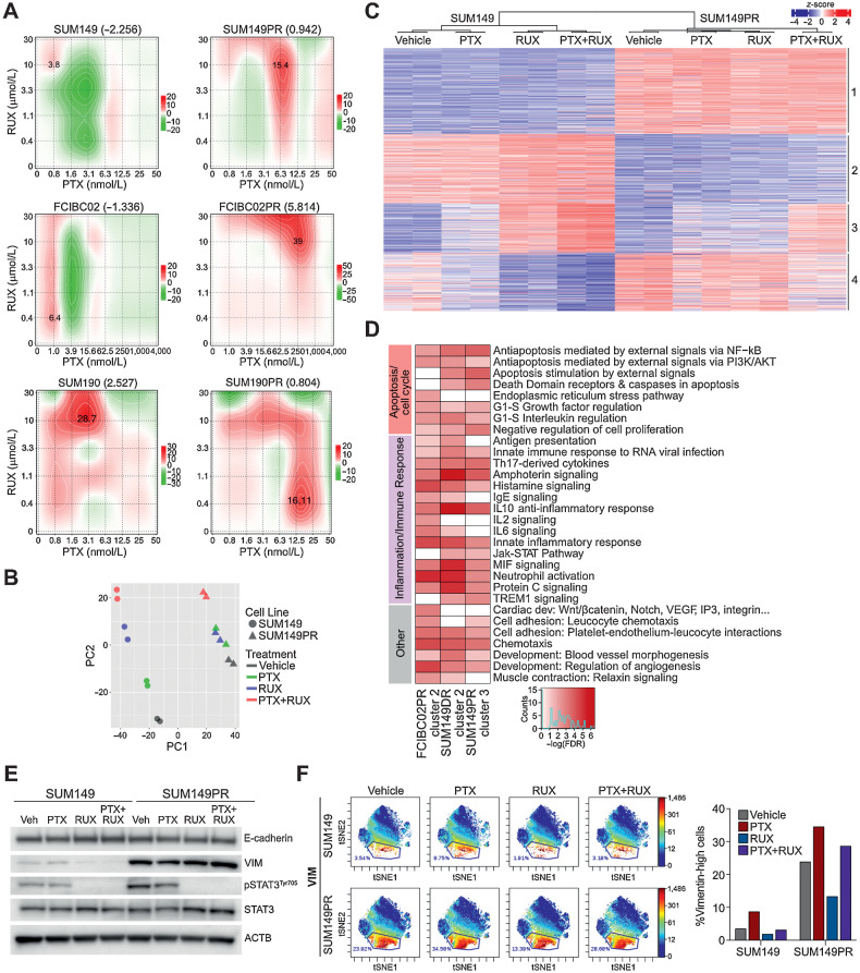 Figure 6. Mechanism of synergy of JAK inhibition with chemotherapeutic agents in drug-sensitive and resistant IBC cells. A, Synergy scores for combination of paclitaxel (PTX) and ruxolitinib (RUX) in the indicated cell lines. Calculated using ZIP model where a score of 0 indicates an additive response and areas of red and green indicate synergistic and antagonistic dose regions, respectively. B, PCA plot of gene expression of SUM149 and SUM149PR cells treated with vehicle, PTX, RUX, or the combination. C, Heat map depicting gene expression changes in SUM149 and SUM149PR cells after PTX, RUX, or PTX+RUX treatment. D, Process network enrichment analysis (FDR < 0.01) of up- and downregulated genes in the indicated clusters as defined by C and Supplementary Figs. S8D–S8E. Color scale corresponds to −log(FDR) of significance of enrichment, calculated by MetaCore Enrichment Analysis test. E, Western blot analysis of the indicated proteins in cell lines treated with PTX, RUX, or the combination for 72 hours. F, Selected viSNE maps from Supplementary Fig. S9 of CyTOF analysis of SUM149 and SUM149PR cells treated with indicated drugs for 14 days. Plots are colored for expression of vimentin (VIM) and gated for VIMhigh cells. Bar-plot is quantification of VIMhigh cells from gates shown in viSNE plots.