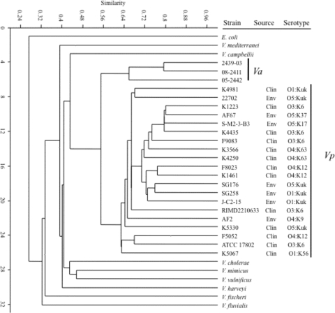 FIG. 5.