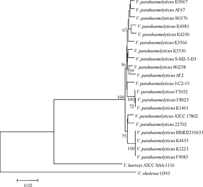 FIG. 7.